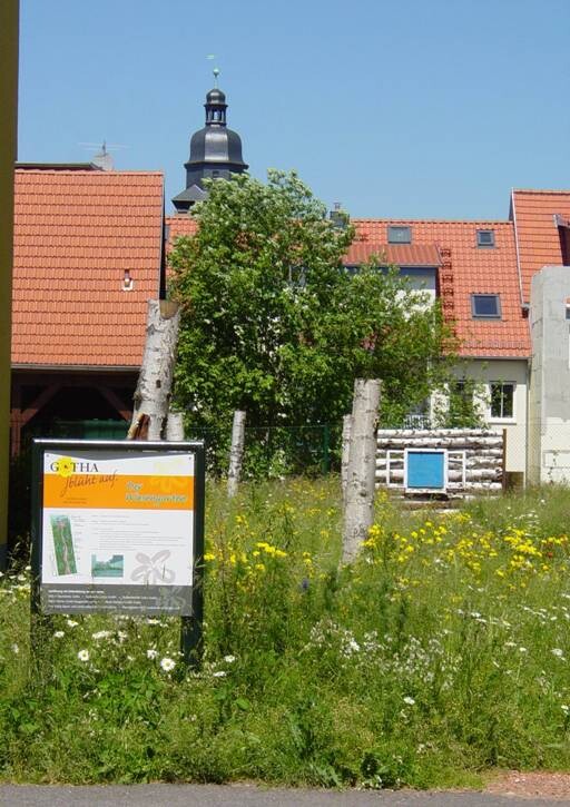 Gotha, L.-Cranach-Str. 14, Grundstück vor Neubebauung